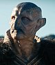 Betelgeusier