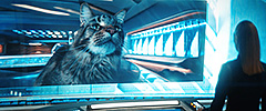 1.6 - Scavengers