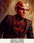 quark-6.jpg