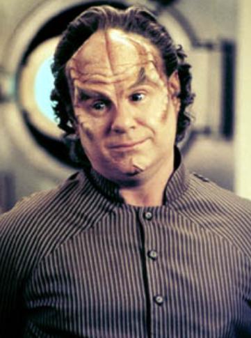 phlox-3.jpg