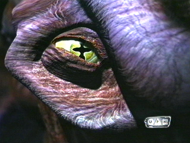 8472-8.jpg