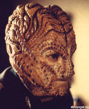 hirogen3.jpg