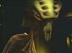 scorpion_del1-23.jpg