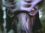 scorpion_del2-32.jpg