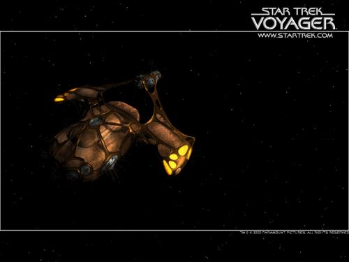 voy-005_800.jpg