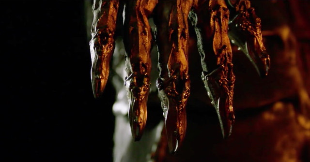 klingonsk-hand-discovery_170717.jpg